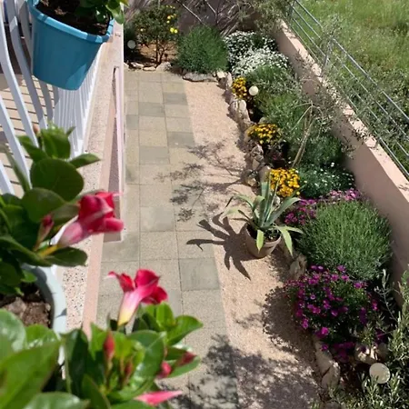 Apartman Bionda Žaborić