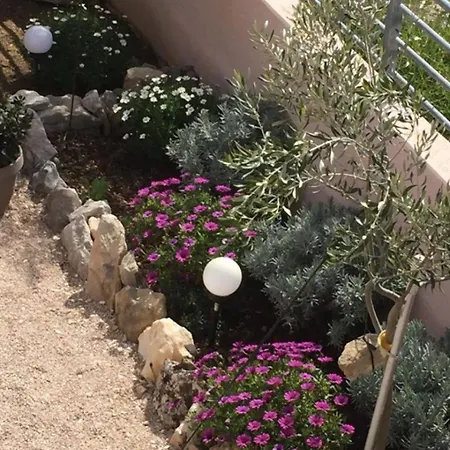 Bionda *