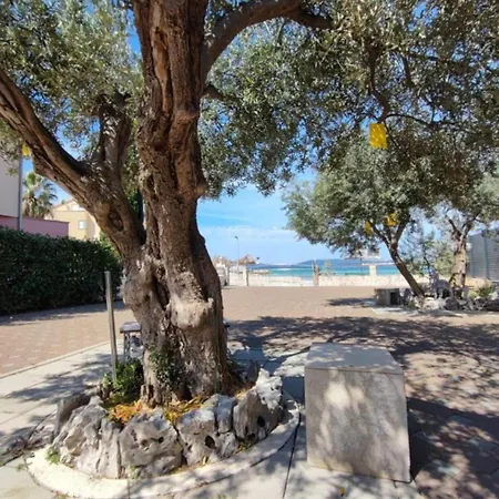 Apartment Bionda - Seafront *
